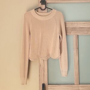 Cropped Aritzia Wilfred sweater